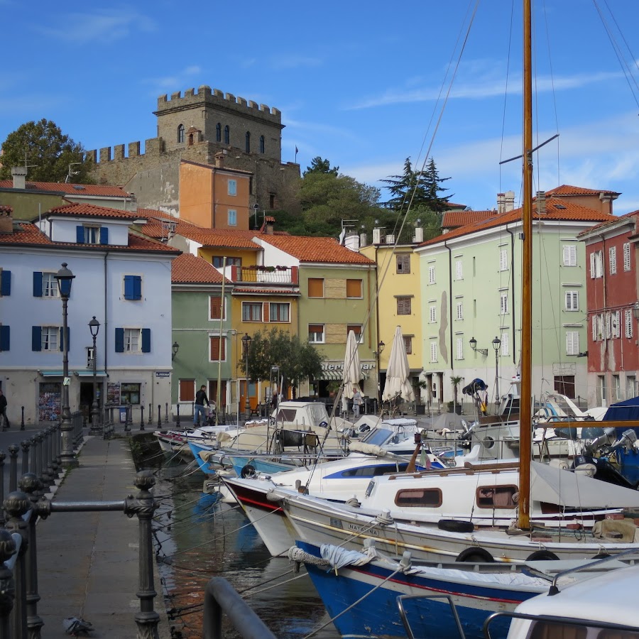 Muggia