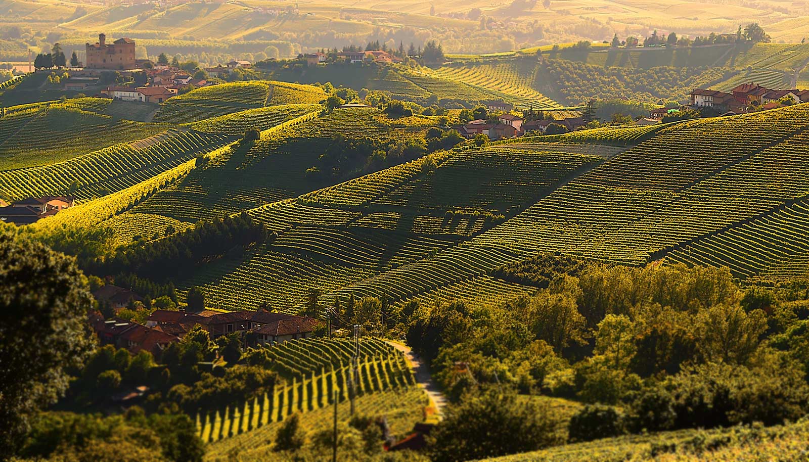 Langhe landscapes UNESCO