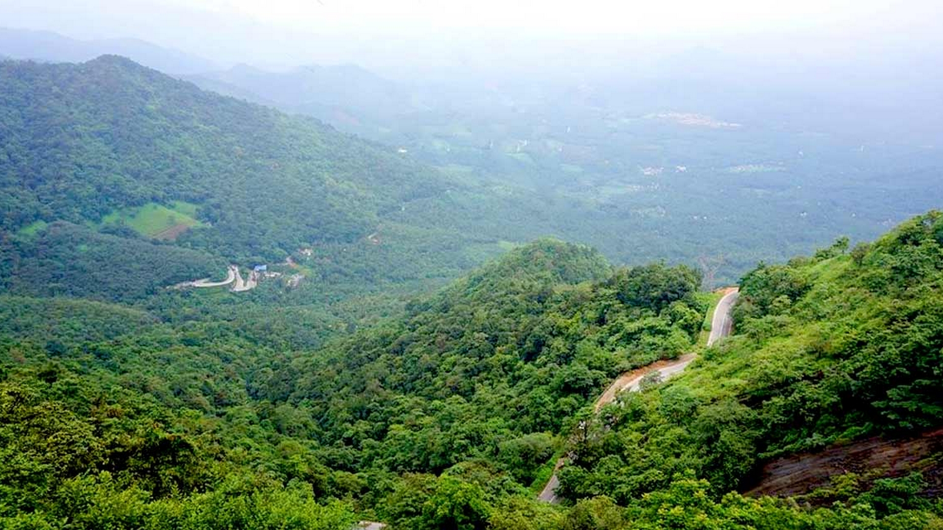 Lakkidi View Point