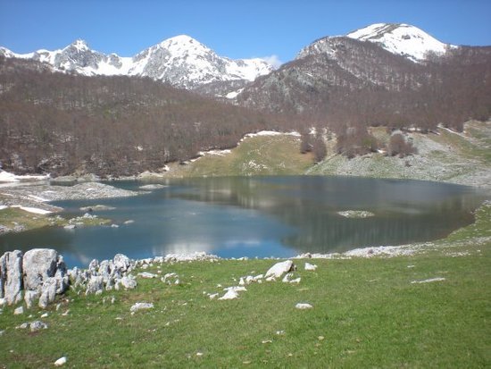 Lago Vivo
