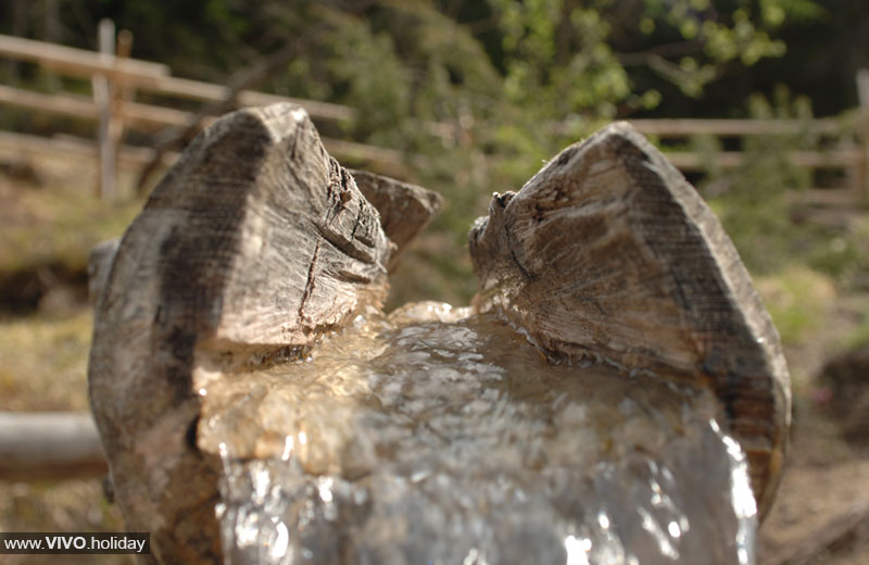 La Fonte della Drava