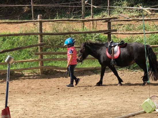 Lori Riding Centre