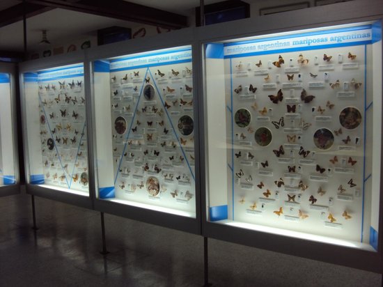 Lorenzo Scaglia Municipal Museum of Natural Sciences