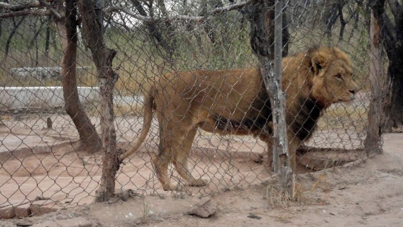 Lohi Bher Wildlife Park