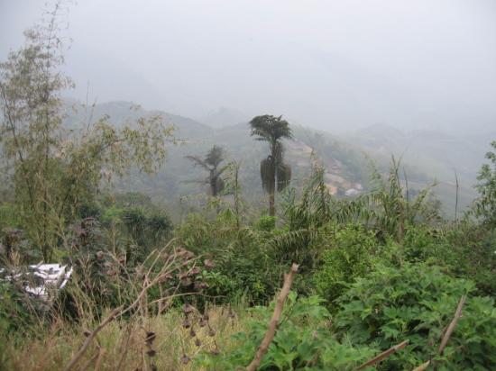 Lougwa Village