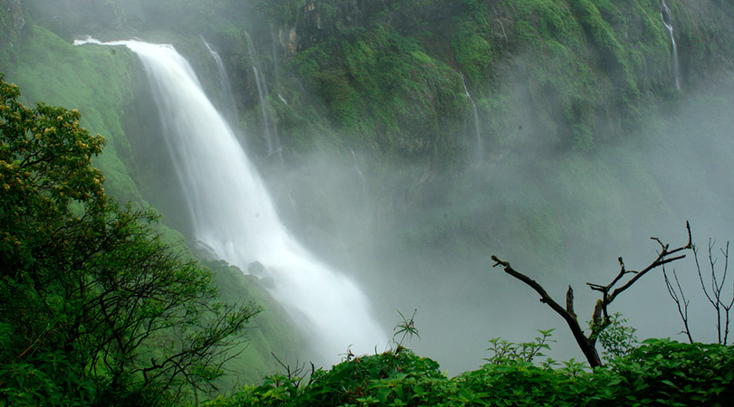 Lingamala Falls
