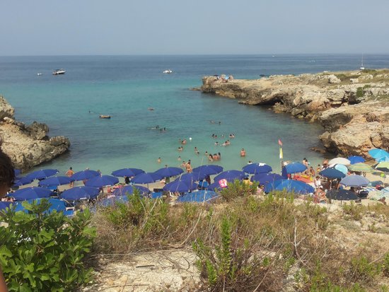 Lido Porto Camicia