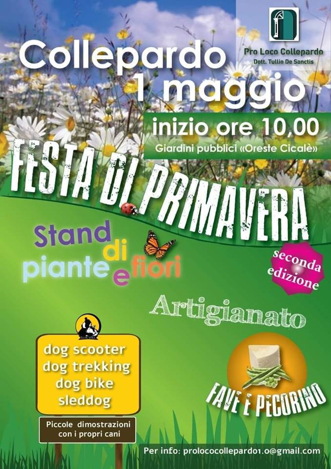 Pro Loco di Collepardo