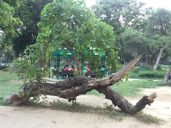 Rakh Bagh Park