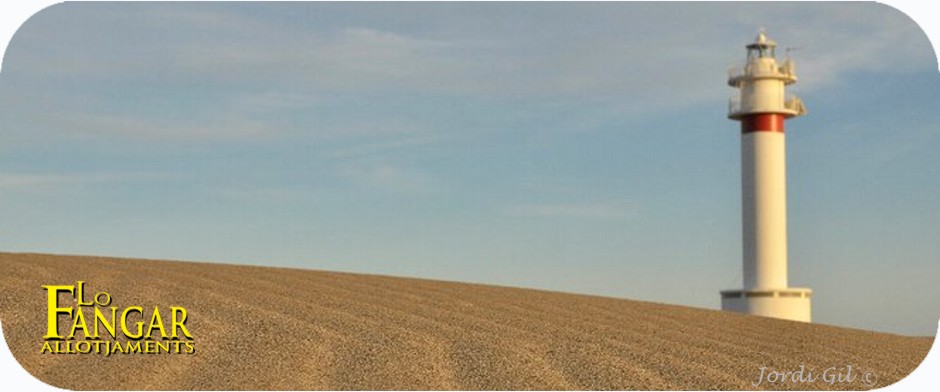 Playa La Punta del Fangar