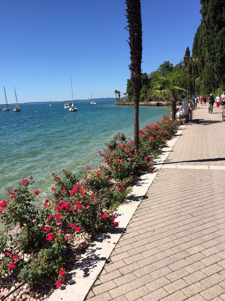 Pista Ciclo Pedonale Lazise - Bardolino - Garda