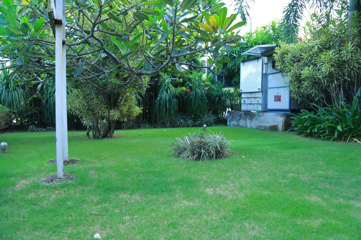 Outdoor Pictures 1