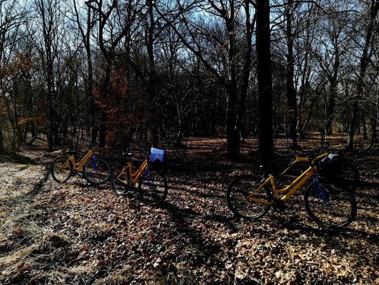 Rent Bike Cascina Prato Pascolo
