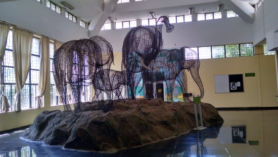 Regional Museum of Natural History