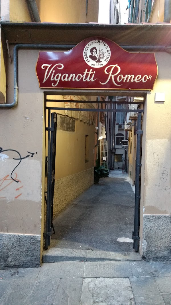 Romeo Viganotti