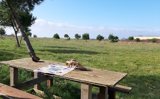 Riserva Naturale Regionale Macchiatonda