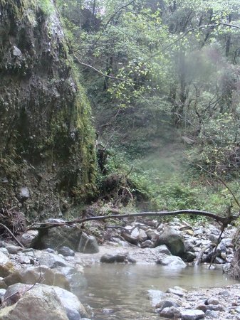 Riserva Naturale Regionale delle Valli Cupe