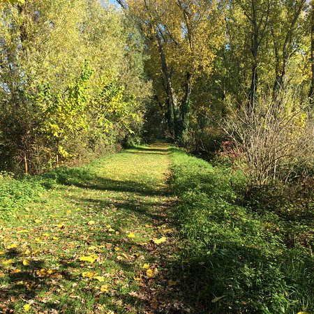 Riserva Naturale Paludi