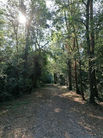 Outdoor Pictures 1