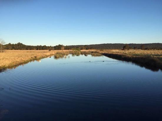 Panboola Wetlands