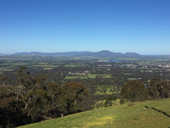 One Tree Hill Lookout