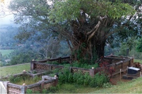 Pazhassi Raja Tomb