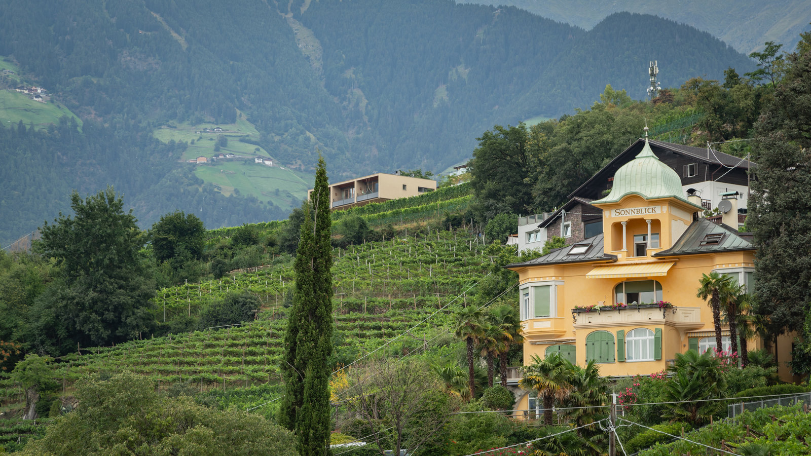 Passeggiata d'estate