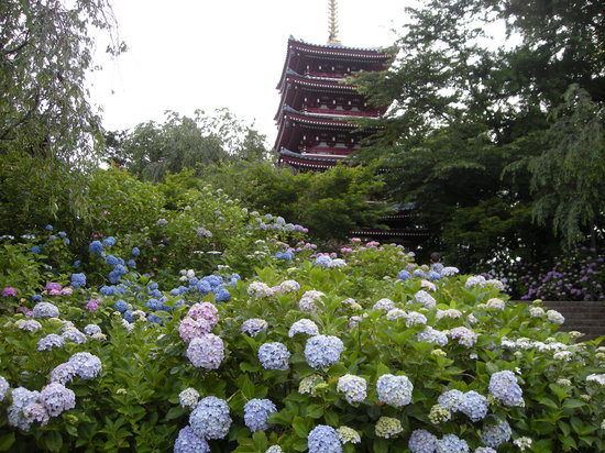 Hondo-ji Temple