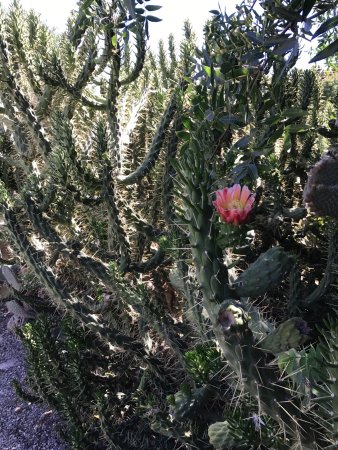 Kouklia Reptile Park