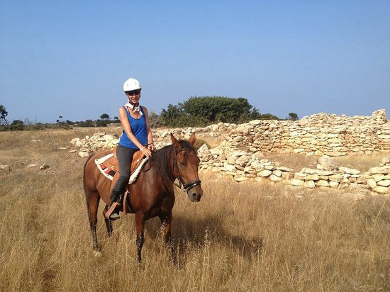 Alexandros Riding Stables