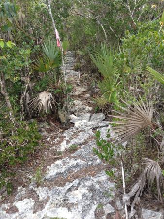 Rainbow Blue Hole Trail
