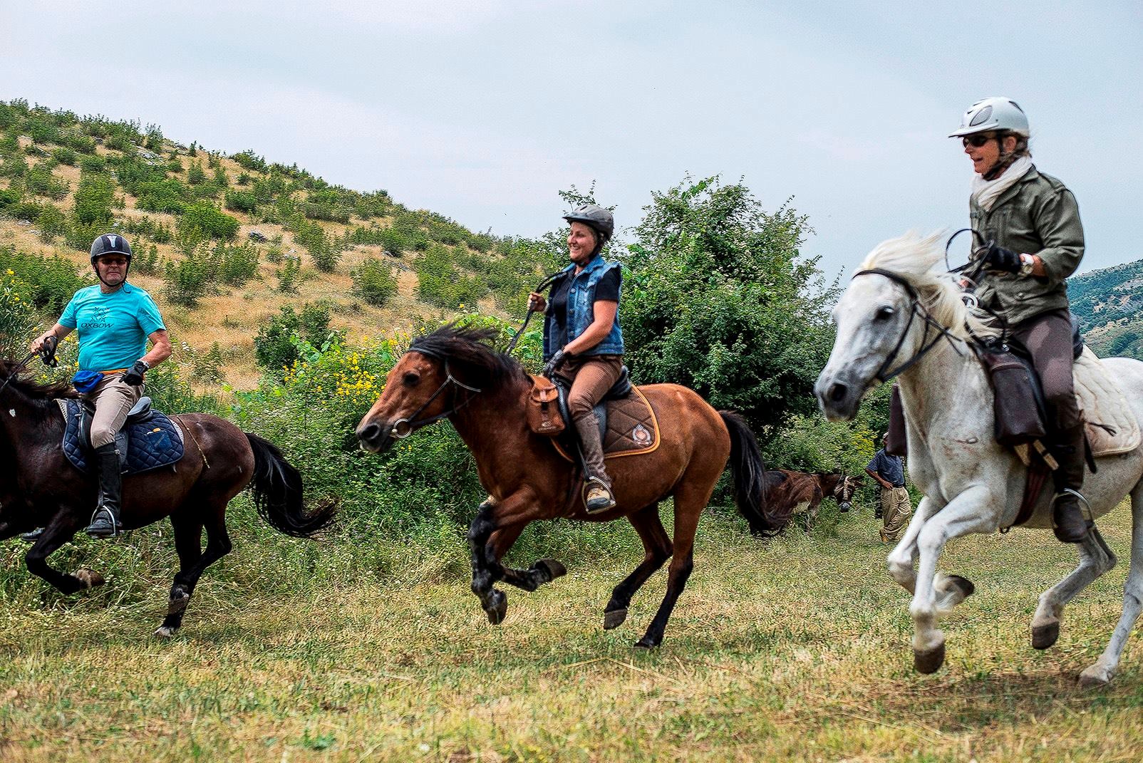 Caravan Horse Riding Albania