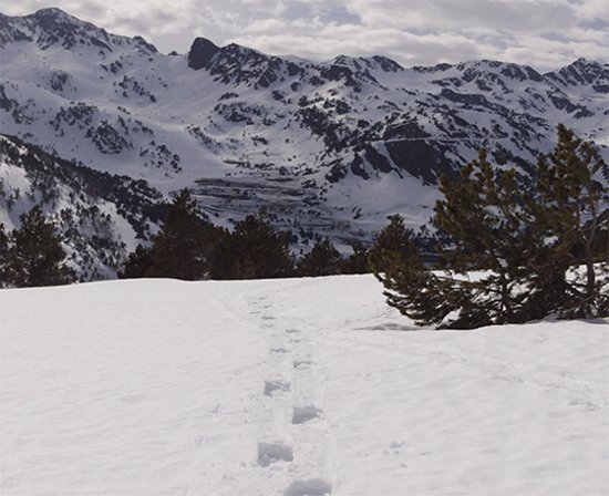 Cabanes del Castellar