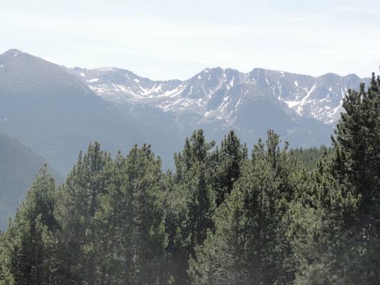 Sub-Alpine Flora and Fauna Trail