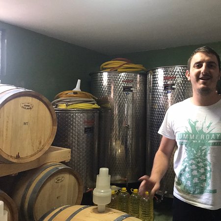 Wine cellar Begic