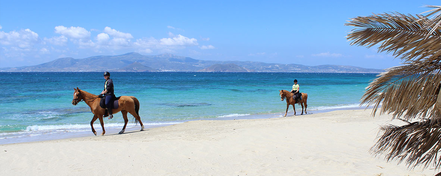 Naxos Horse Riding Club