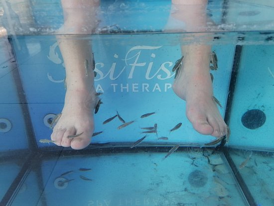 Sisi Fish Spa Therapy