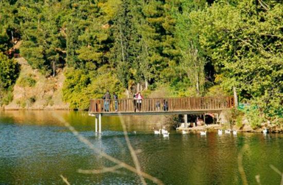Thermis Dam