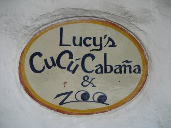 Lucy's CuCu Cabana