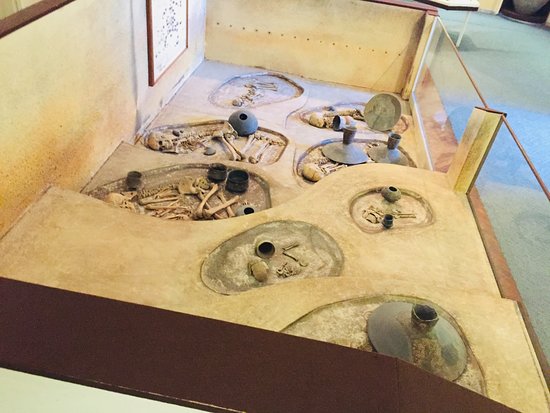 Wosinsky Mor County Museum