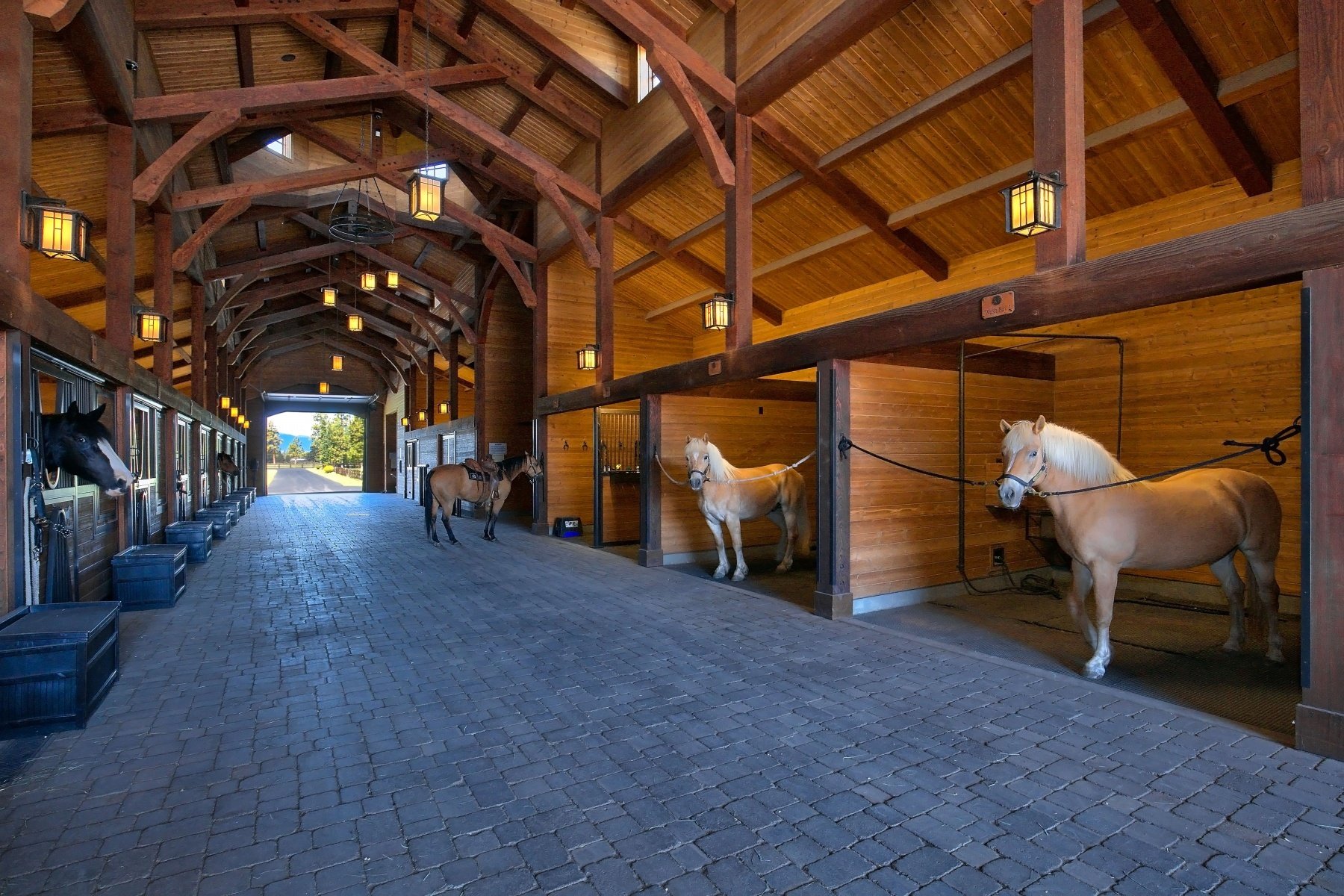 Malo Stables