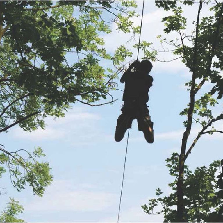 Ecopark Adventures Sannois
