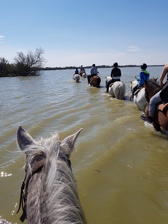 Promenade du Pont de Gau