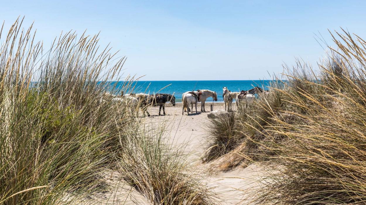 L'Ecurie de l'Auberge Cavaliere du Pont des Bannes