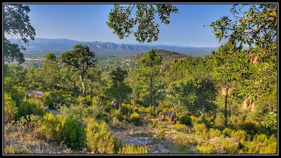 Bureau d'Information Touristique de Bagnols-en-Foret