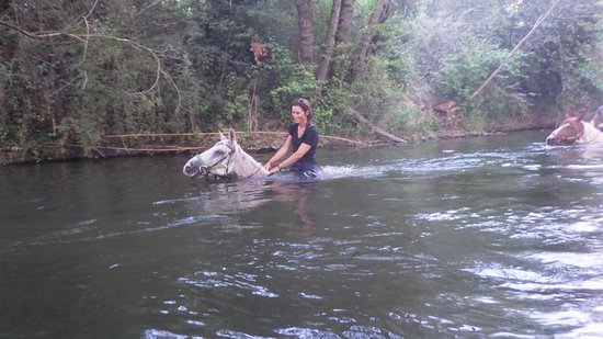 Randonnées à Cheval