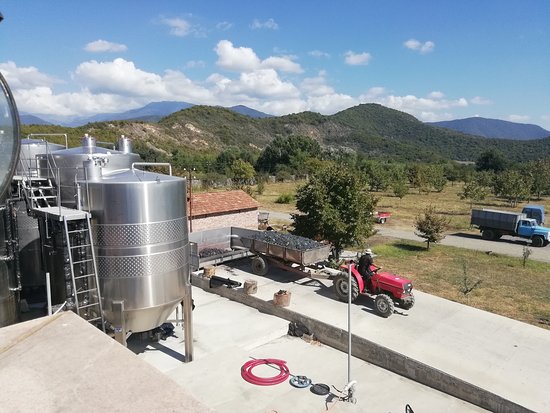 Chelti Winery