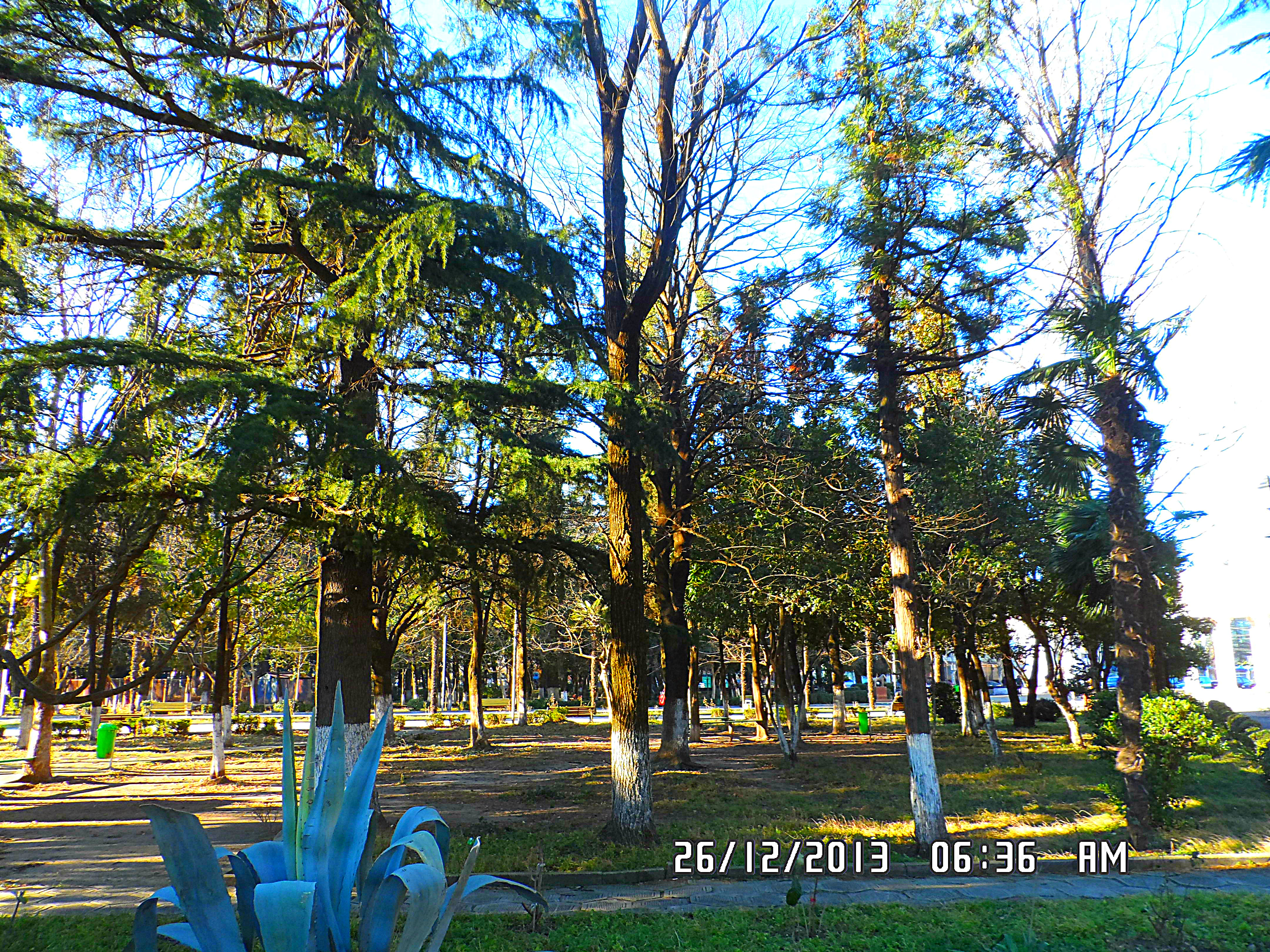 Youth Park