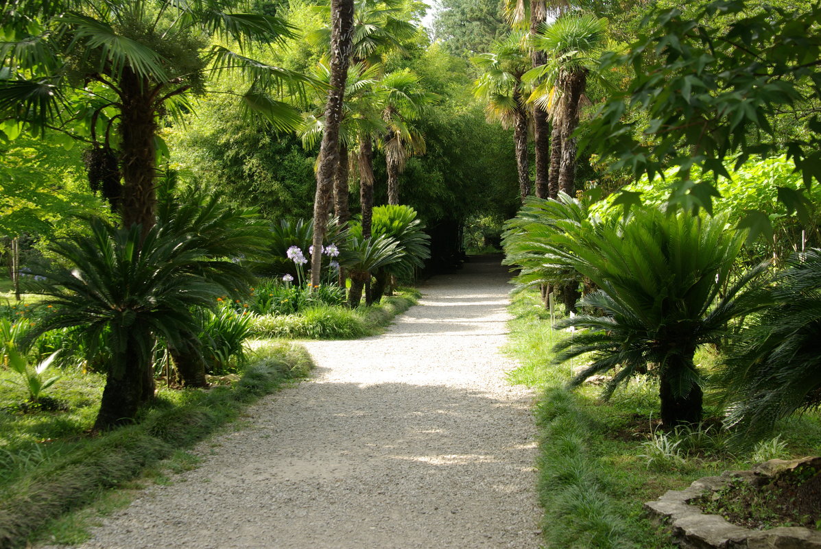 Sukhumi Botanical Garden