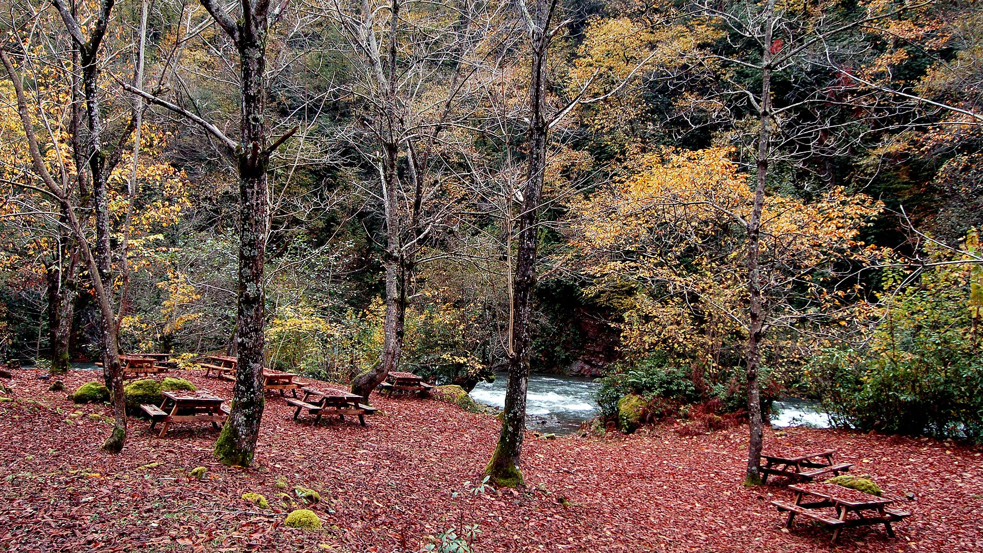 Mtirala National Park